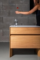 pavlis2