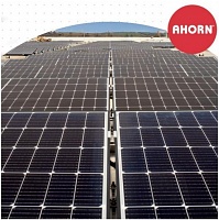 ahorn1